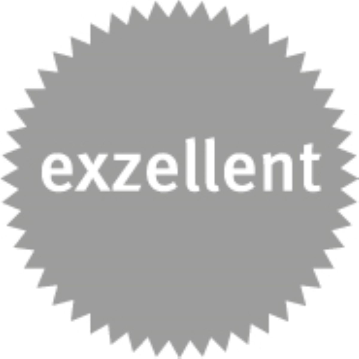 Das Logo des exzellent-Preises: Ein silberner, vielzackiger Sten, in dessen Mitte das Wort exzellent steht. 
© Impulslabor